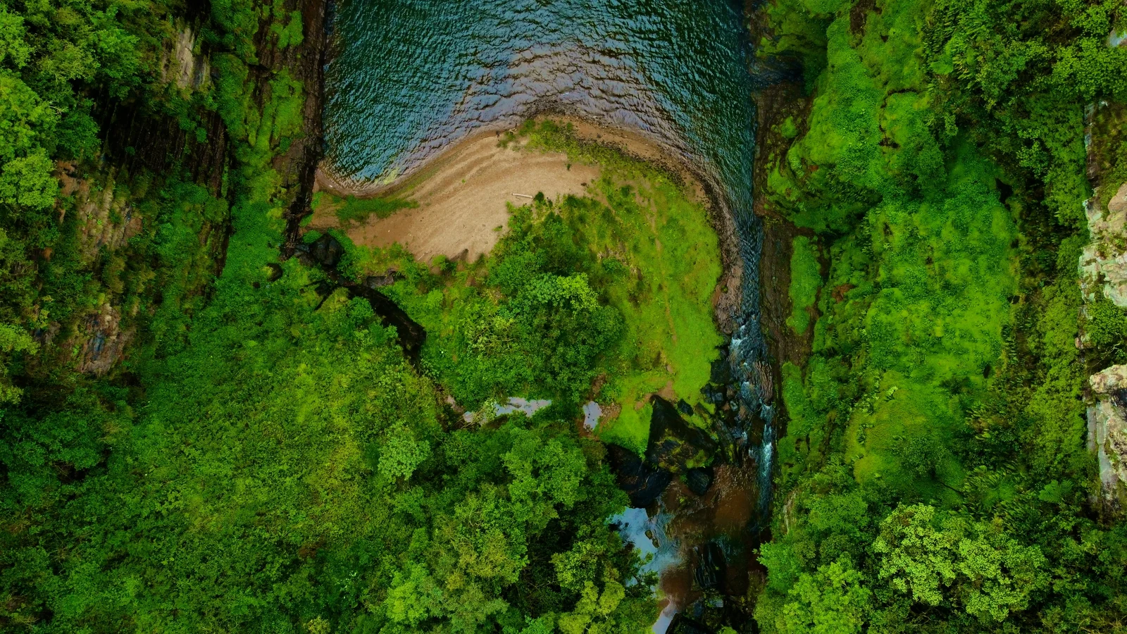 Aerial view of a green river gorge and forest