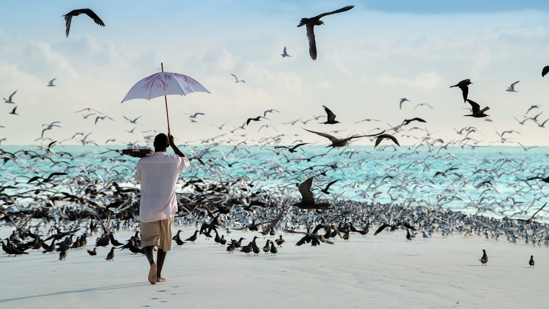 Butler carrying refreshments beneath an umbrella on a white sand beach with seabirds in flight