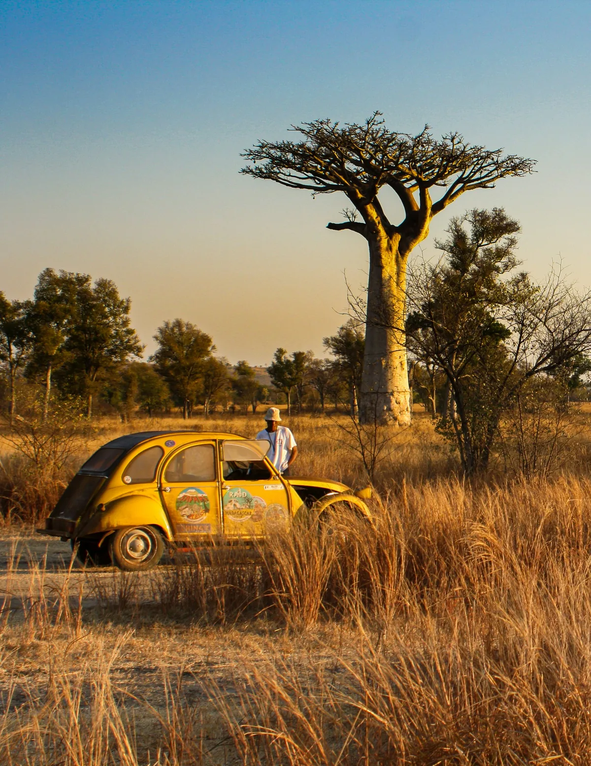Vintage car beside a baobab tree in a golden Moroccan landscape